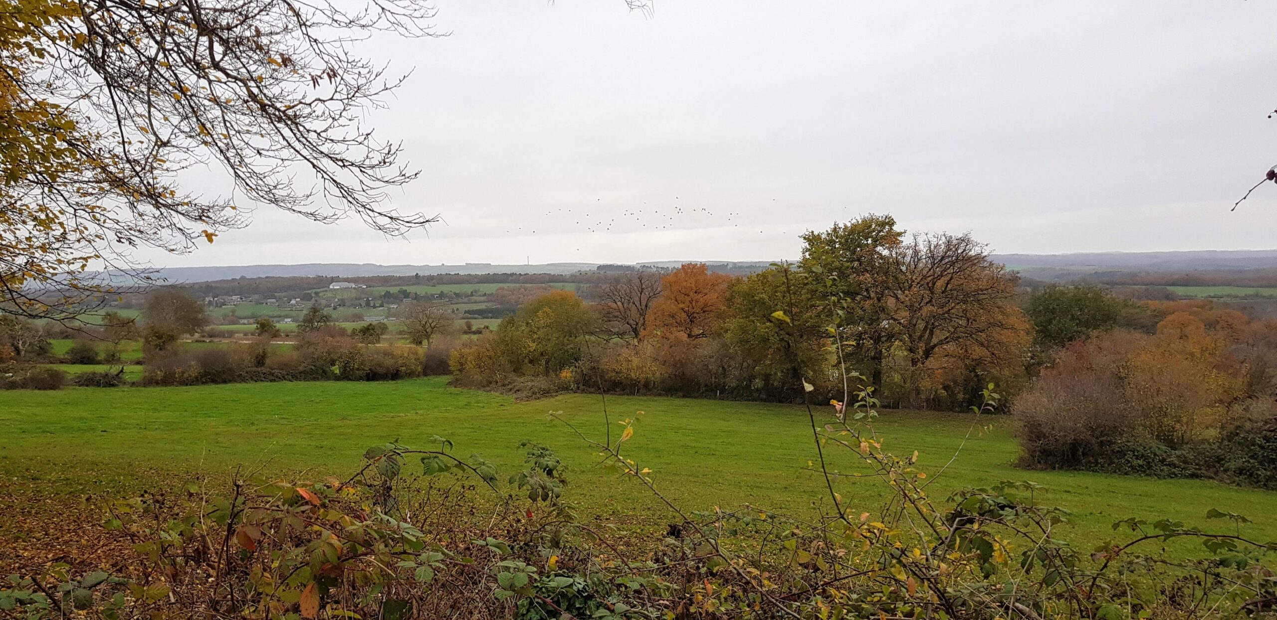 Heyd, België