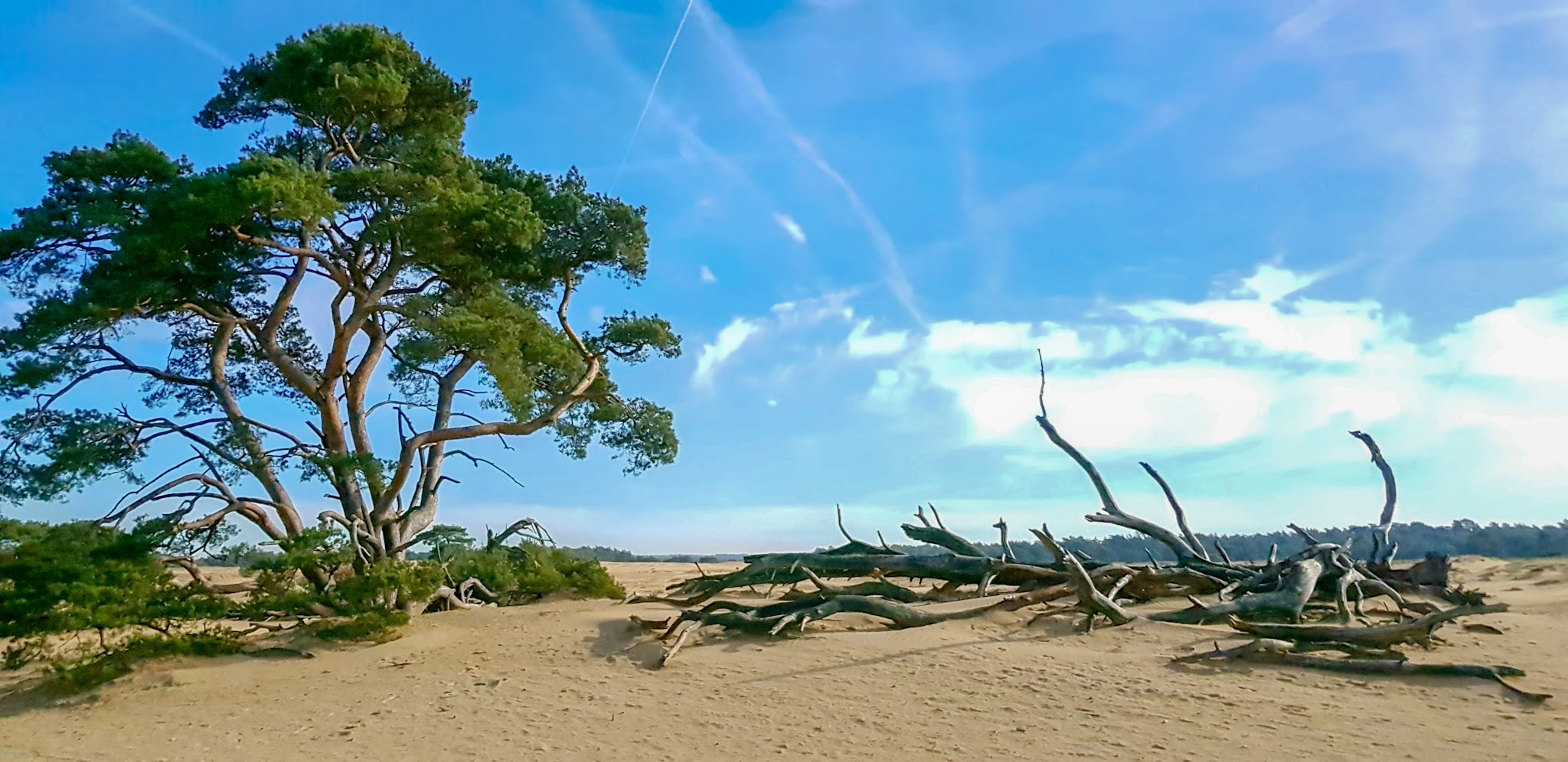 Beekbergen, Nederland